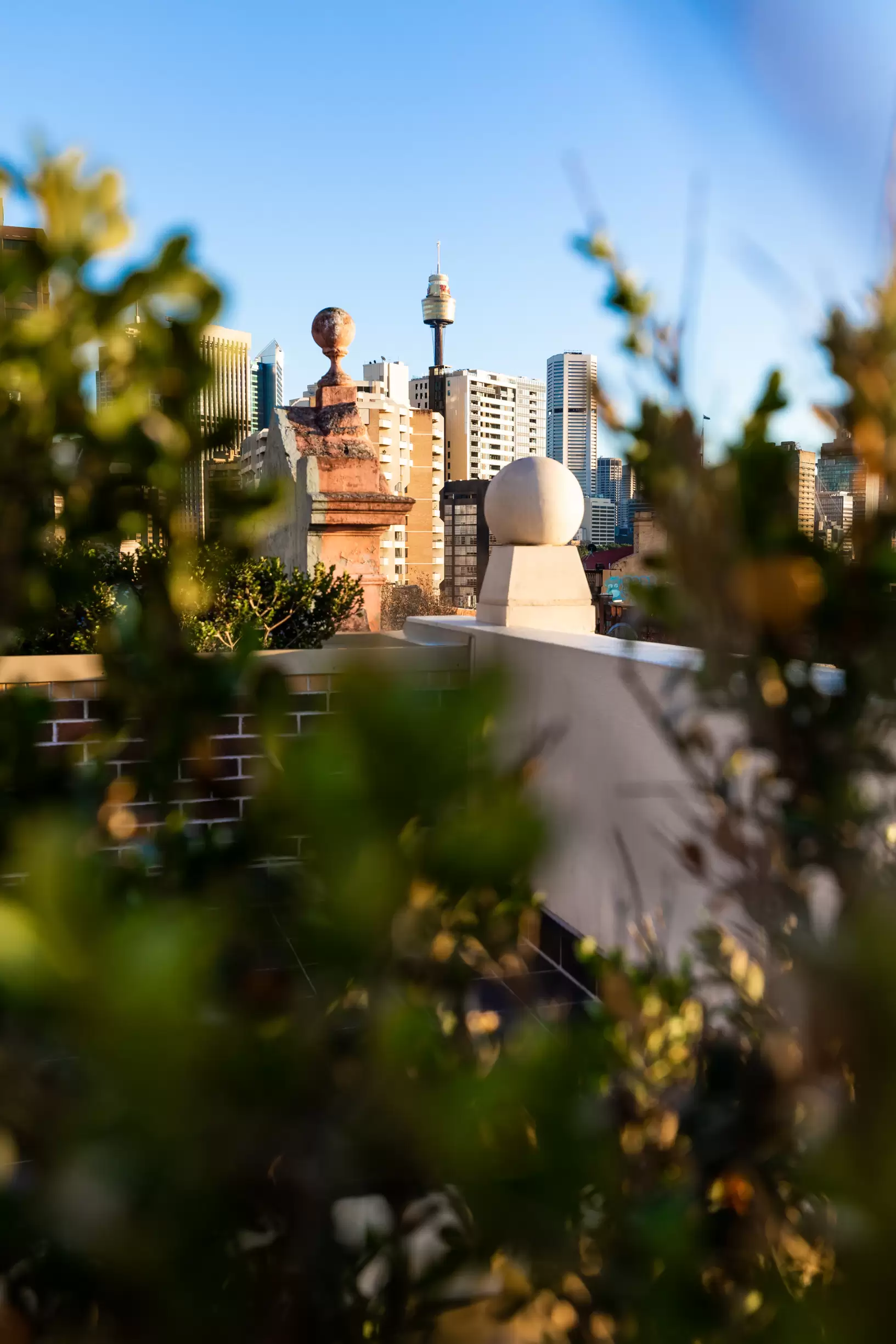19/107 Oxford St, Darlinghurst Leased by The Gallery Real Estate - image 17