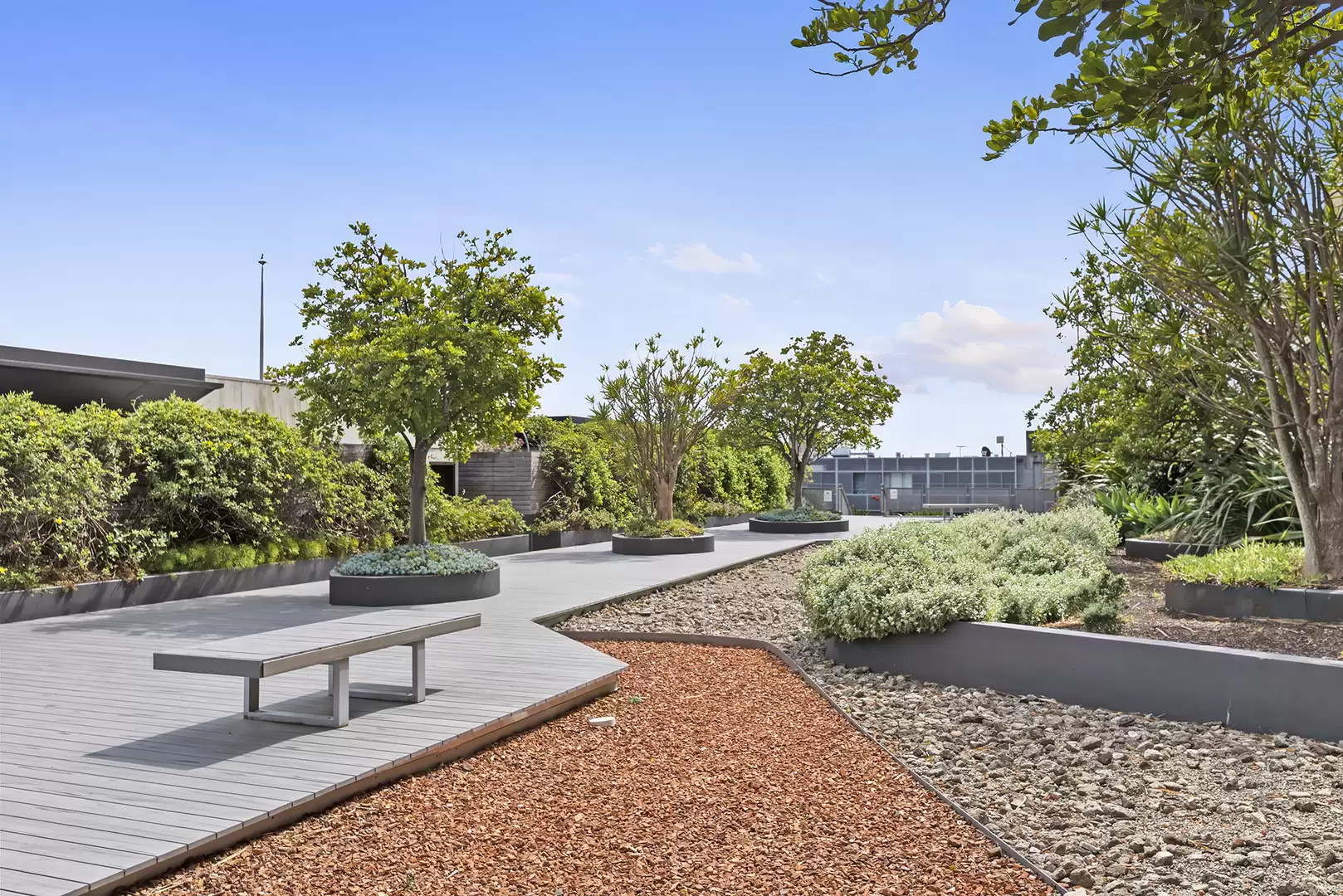 209/380 Harris Street, Pyrmont Leased by The Gallery Real Estate - image 7