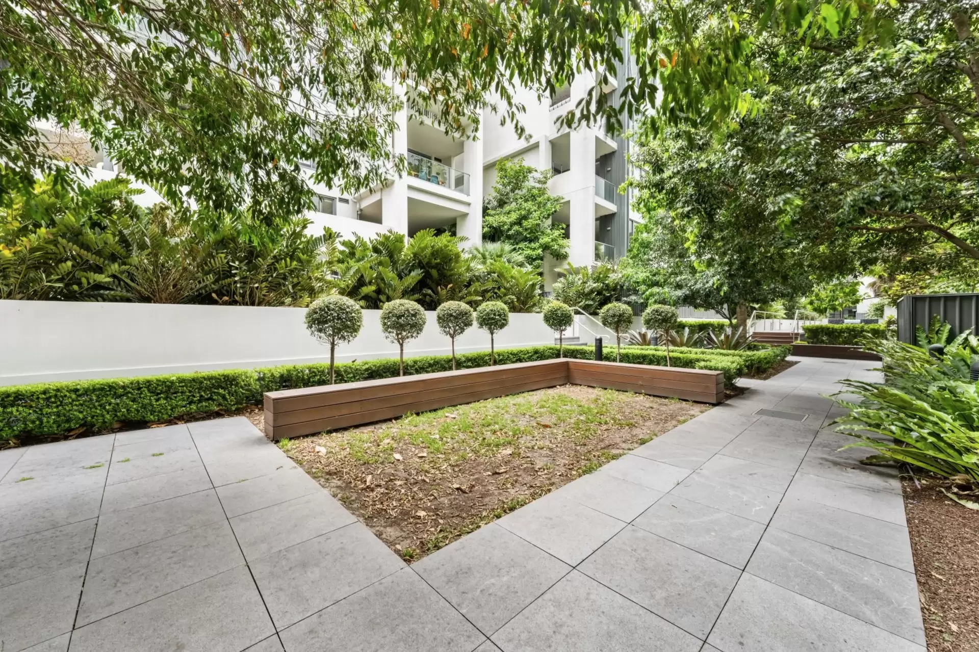 DG31/810-222 Elizabeth Street, Waterloo Leased by The Gallery Real Estate - image 1